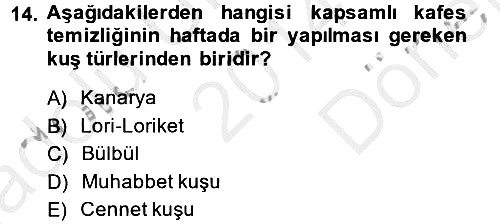 Temel Klinik Bilgisi 2014-2015 Dönem Sonu Sınavı - 14. soru