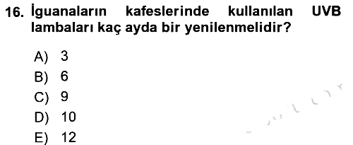 Temel Klinik Bilgisi 2016-2017 Dönem Sonu Sınavı - 16. soru