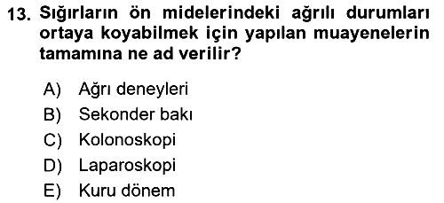 Temel Klinik Bilgisi 2018-2019 Yaz Okulu Sınavı - 13. soru