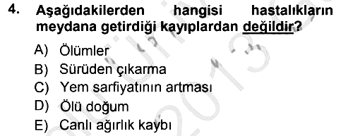 Temel Sürü Sağlığı Yönetimi 2012-2013 Ara Sınav - 4. soru