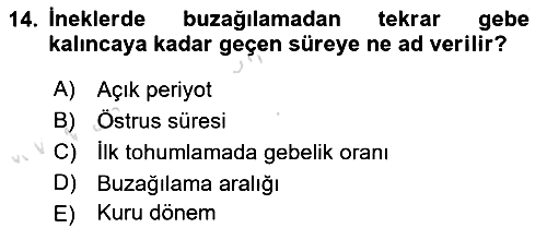 Temel Sürü Sağlığı Yönetimi 2024-2025 Ara Sınav - 14. soru