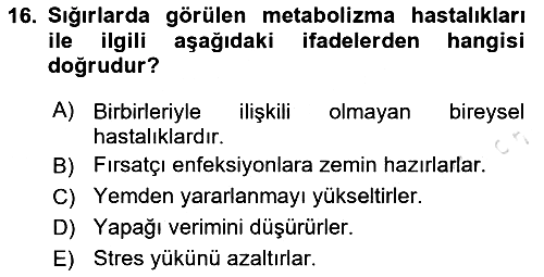 Temel Sürü Sağlığı Yönetimi 2024-2025 Ara Sınav - 16. soru