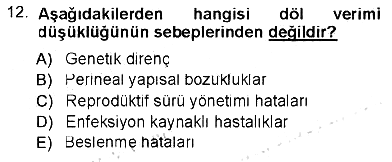 Temel Sürü Sağlığı Yönetimi 2012-2013 Tek Ders Sınavı - 12. soru