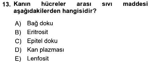 Temel Veteriner Anatomi 2017-2018 3 Ders Sınavı - 13. soru
