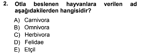 Temel Veteriner Anatomi 2012-2013 Ara Sınav - 2. soru