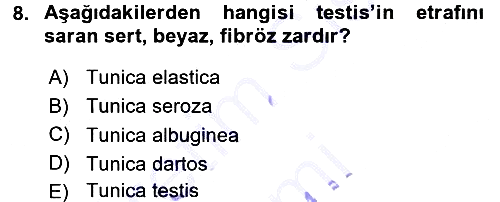 Temel Veteriner Anatomi 2015-2016 Dönem Sonu Sınavı - 8. soru