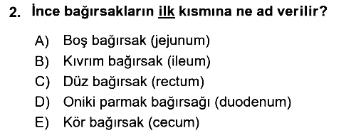 Temel Veteriner Anatomi 2018-2019 Dönem Sonu Sınavı - 2. soru