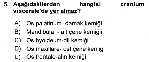 Temel Veteriner Anatomi 2019-2020 Dönem Sonu Sınavı - 5. soru