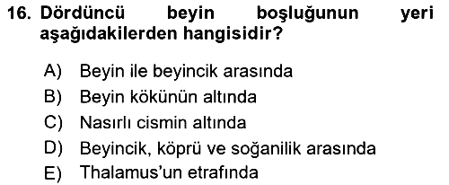 Temel Veteriner Anatomi 2021-2022 Dönem Sonu Sınavı - 16. soru