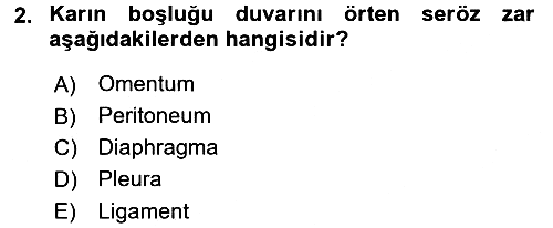 Temel Veteriner Anatomi 2015-2016 Tek Ders Sınavı - 2. soru
