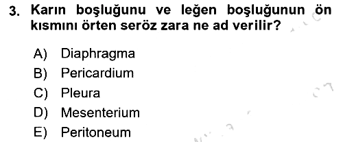 Temel Veteriner Anatomi 2024-2025 Yaz Okulu Sınavı - 3. soru