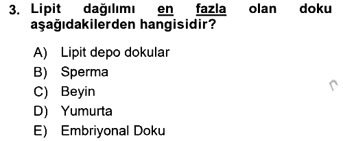 Temel Veteriner Biyokimya 2016-2017 3 Ders Sınavı - 3. soru