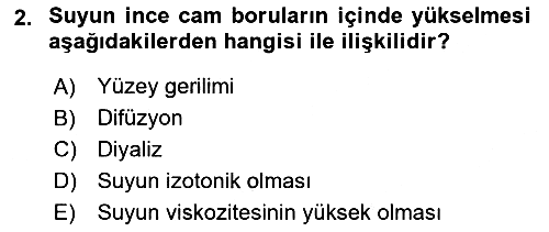 Temel Veteriner Biyokimya 2025-2026 Ara Sınav - 2. soru
