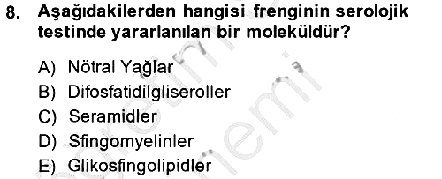 Temel Veteriner Biyokimya 2013-2014 Dönem Sonu Sınavı - 8. soru