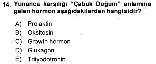 Temel Veteriner Biyokimya 2015-2016 Dönem Sonu Sınavı - 14. soru
