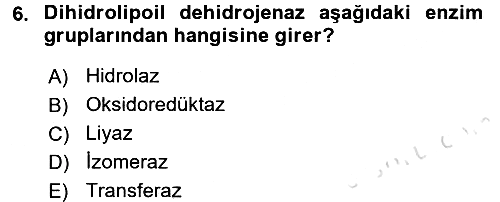Temel Veteriner Biyokimya 2016-2017 Dönem Sonu Sınavı - 6. soru
