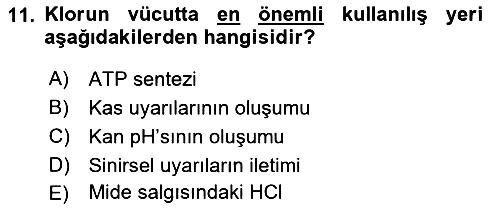 Temel Veteriner Biyokimya 2018-2019 Dönem Sonu Sınavı - 11. soru