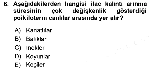 Temel Veteriner Farmakoloji ve Toksikoloji 2017-2018 3 Ders Sınavı - 6. soru