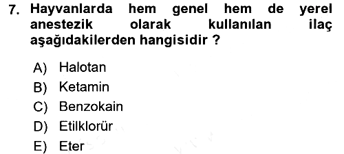 Temel Veteriner Farmakoloji ve Toksikoloji 2015-2016 Ara Sınav - 7. soru