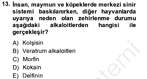 Temel Veteriner Farmakoloji ve Toksikoloji 2013-2014 Dönem Sonu Sınavı - 13. soru