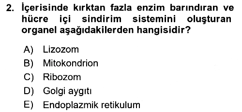 Temel Veteriner Fizyoloji 2017-2018 3 Ders Sınavı - 2. soru