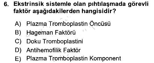 Temel Veteriner Fizyoloji 2016-2017 Ara Sınav - 6. soru