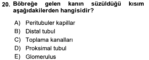 Temel Veteriner Fizyoloji 2018-2019 Ara Sınav - 20. soru