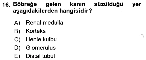 Temel Veteriner Fizyoloji 2021-2022 Ara Sınav - 16. soru