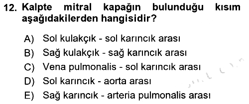 Temel Veteriner Fizyoloji 2022-2023 Ara Sınav - 12. soru
