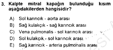 Temel Veteriner Fizyoloji 2015-2016 Dönem Sonu Sınavı - 3. soru