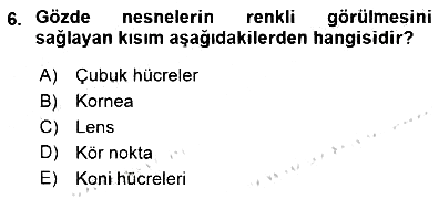 Temel Veteriner Fizyoloji 2015-2016 Dönem Sonu Sınavı - 6. soru