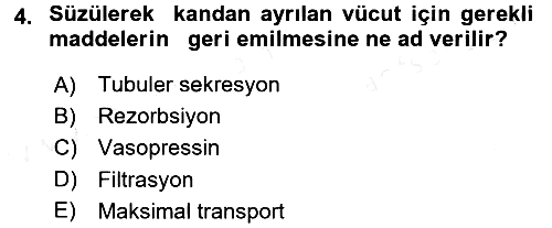 Temel Veteriner Fizyoloji 2016-2017 Dönem Sonu Sınavı - 4. soru