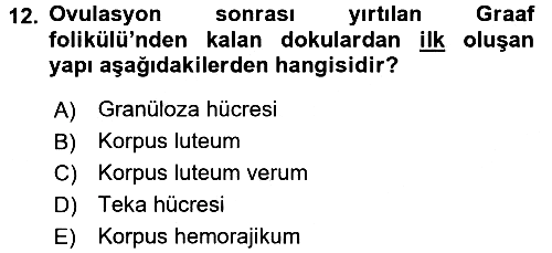 Temel Veteriner Fizyoloji 2016-2017 Dönem Sonu Sınavı - 12. soru