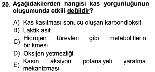 Temel Veteriner Fizyoloji 2013-2014 Tek Ders Sınavı - 20. soru