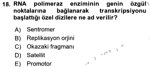 Temel Veteriner Genetik 2016-2017 3 Ders Sınavı - 18. soru