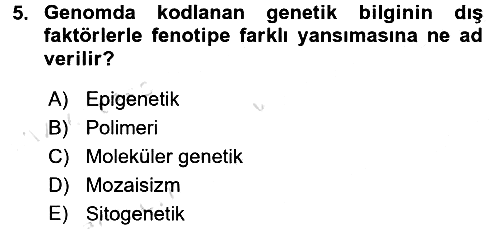 Temel Veteriner Genetik 2018-2019 3 Ders Sınavı - 5. soru