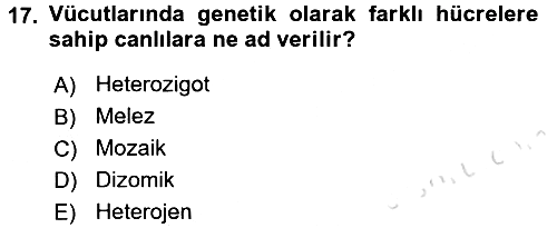 Temel Veteriner Genetik 2017-2018 Ara Sınav - 17. soru