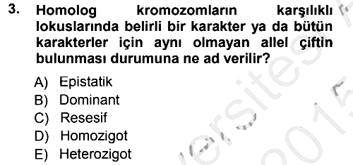 Temel Veteriner Genetik 2014-2015 Dönem Sonu Sınavı - 3. soru