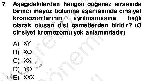 Temel Veteriner Genetik 2014-2015 Dönem Sonu Sınavı - 7. soru