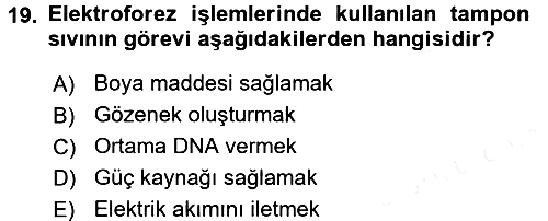 Temel Veteriner Genetik 2017-2018 Dönem Sonu Sınavı - 19. soru