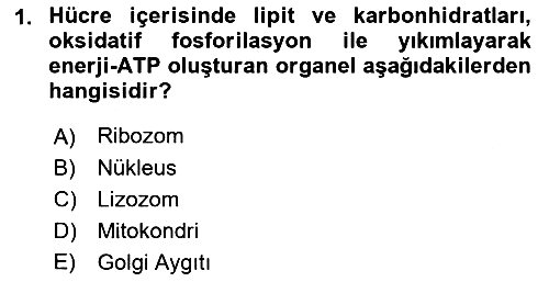 Temel Veteriner Genetik 2019-2020 Dönem Sonu Sınavı - 1. soru
