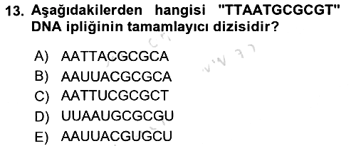 Temel Veteriner Genetik 2021-2022 Dönem Sonu Sınavı - 13. soru