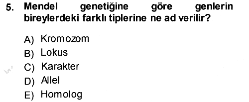 Temel Veteriner Genetik 2013-2014 Tek Ders Sınavı - 5. soru
