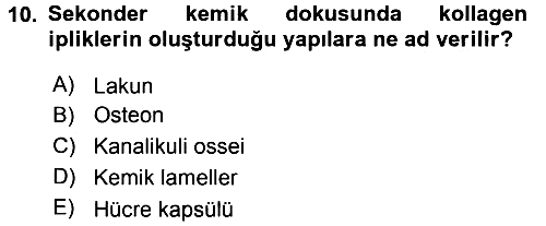 Temel Veteriner Histoloji ve Embriyoloji 2017-2018 3 Ders Sınavı - 10. soru