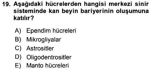 Temel Veteriner Histoloji ve Embriyoloji 2017-2018 3 Ders Sınavı - 19. soru