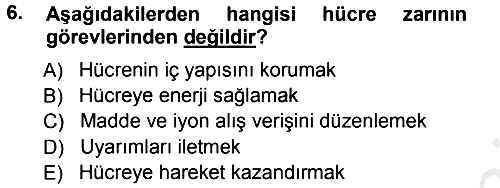 Temel Veteriner Histoloji ve Embriyoloji 2012-2013 Ara Sınav - 6. soru