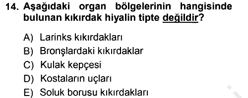 Temel Veteriner Histoloji ve Embriyoloji 2012-2013 Ara Sınav - 14. soru