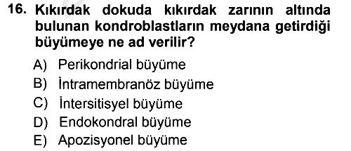 Temel Veteriner Histoloji ve Embriyoloji 2012-2013 Ara Sınav - 16. soru