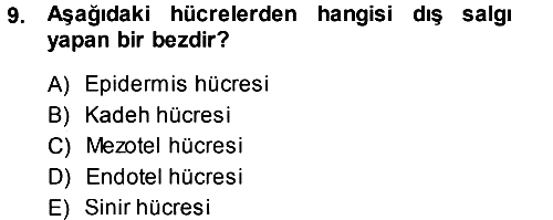 Temel Veteriner Histoloji ve Embriyoloji 2013-2014 Ara Sınav - 9. soru