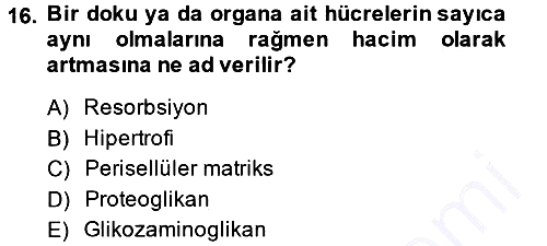 Temel Veteriner Histoloji ve Embriyoloji 2014-2015 Ara Sınav - 16. soru